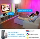 SUMMER RAINBOW SMART STRIP GAMING LIGHT