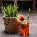 100% organic premium herbal straws | friendly natural disposable drinking straws | A sustainable alternative to plastic - 100 count pack