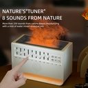 7MD Nature Sound & Flame Diffuser Wireless Speaker | C221 |