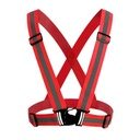 Safety Belt For Electric Scooters