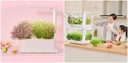 Xiaomi Tiny Green intelligent ecological planting machine
