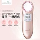 Wellskins Ion Cleaning Beauty Instrument - WX-NF209