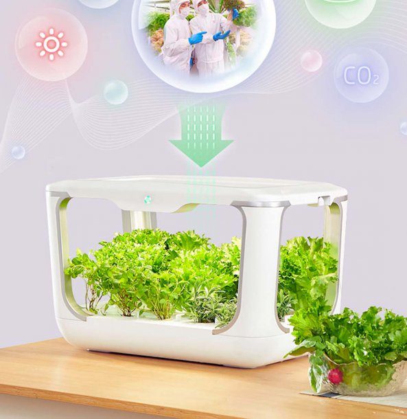Xiaomi Tiny Green Mini Home Garden for Growing Vegetables etc Lg-size