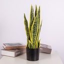 Hand-Made Ornament Small Artificial decoration Plant For Home & Office Decoration Snake Plant | C006 |
