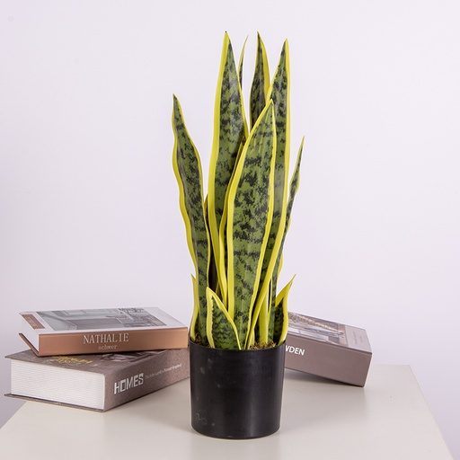 [8048] Hand-Made Ornament Small Artificial decoration Plant For Home & Office Decoration Snake Plant | C006 |